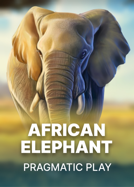 African Elephant