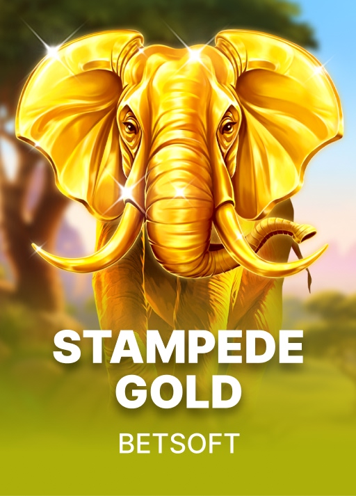 Stampede GOLD