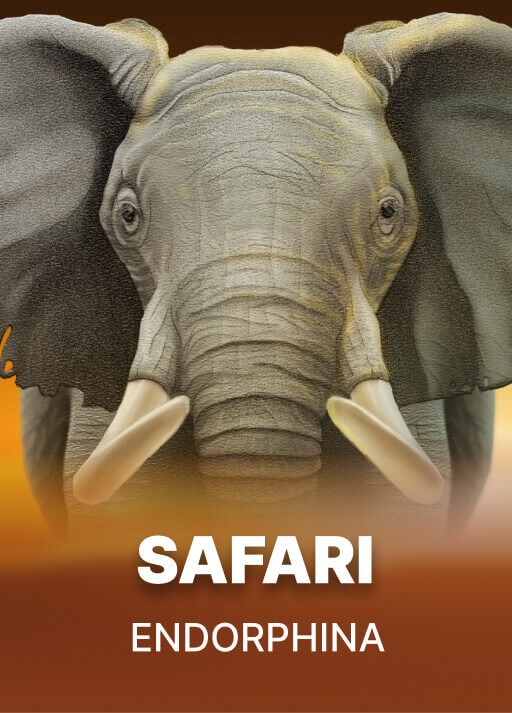 Safari