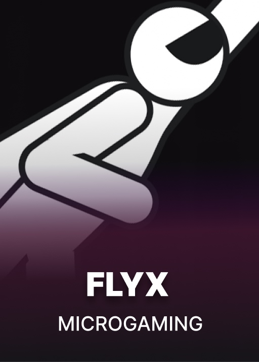 FlyX