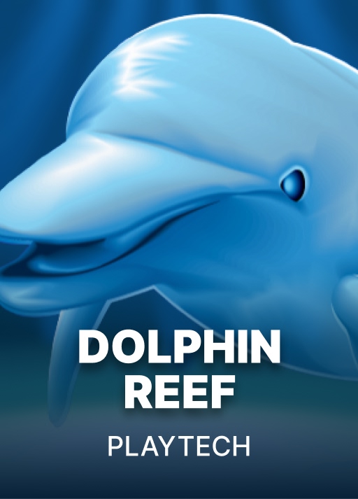 Dolphin Reef