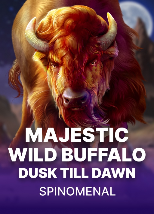 Majestic Wild Buffalo: Dusk Till Dawn